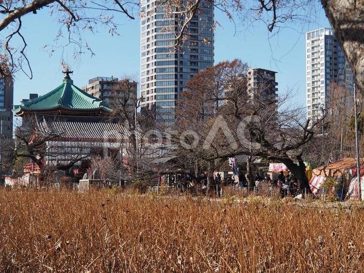 上野公園の風景 上野恩賜公園,辯天堂,公園の写真素材