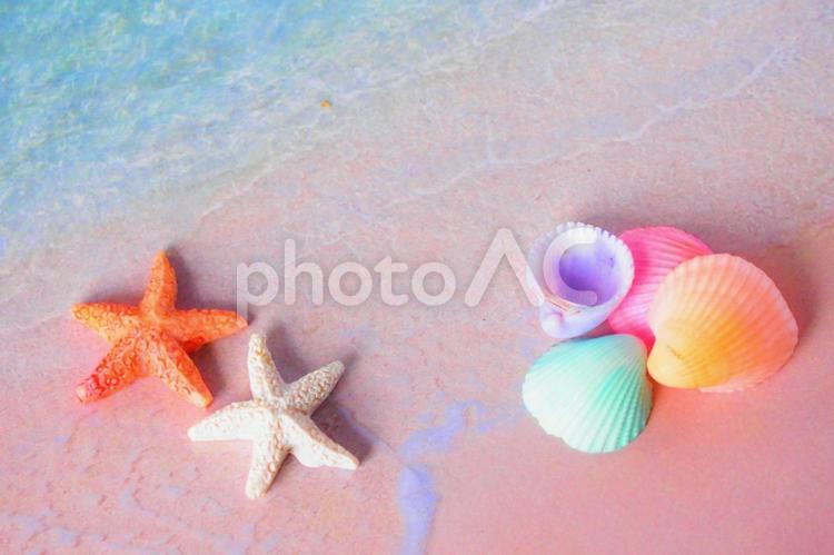 夏のイメージ～カラフルな貝殻とヒトデ 貝殻,カラフル,ヒトデの写真素材