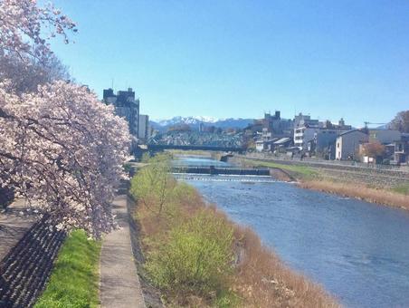 春の犀川大橋(金沢) 春の犀川大橋(金沢)の写真