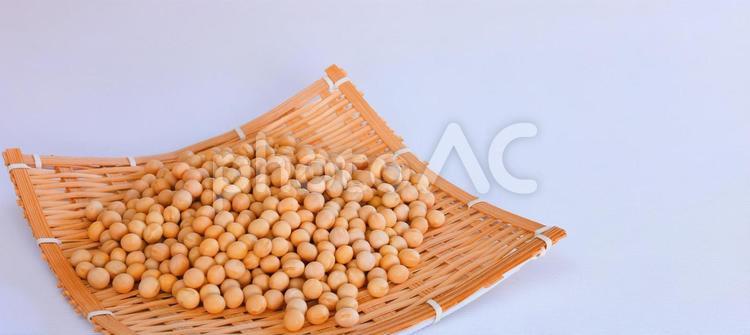 節分　大豆　豆まき　コピースペース 大豆,節分,年中行事の写真素材