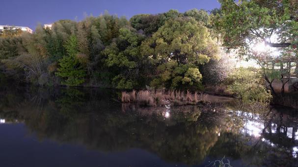静寂の水鏡に眠る夜 静寂の水鏡に眠る夜の写真