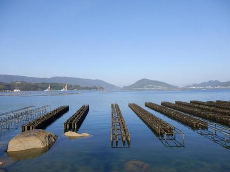 【風景写真】江田島の風景 牡蠣筏,牡蠣棚,江田島の写真素材