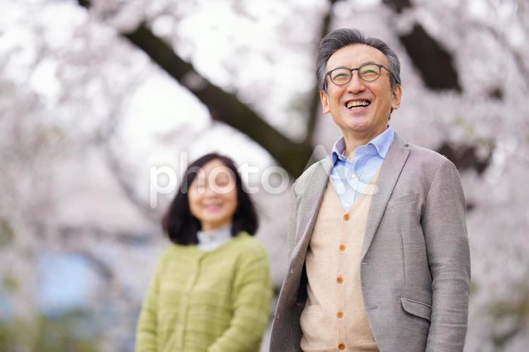 桜の前に立つ笑顔の高齢夫婦 夫婦,男性,女性の写真素材