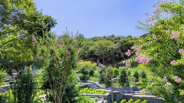 市民の森公園-10 市民の森公園-10 今治市,市民の森公園,風景の写真素材