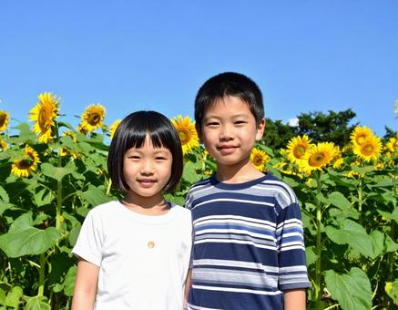 ひまわりと青空と子供たち ひまわりと青空と子供たちの写真