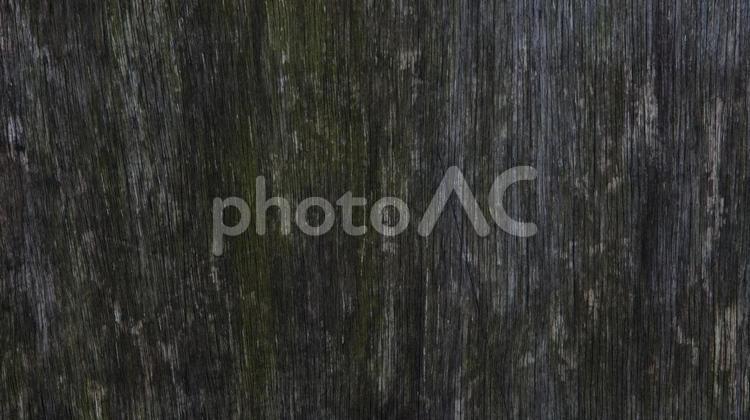 朽ちた木材　０２ 木材,木目,廃材の写真素材