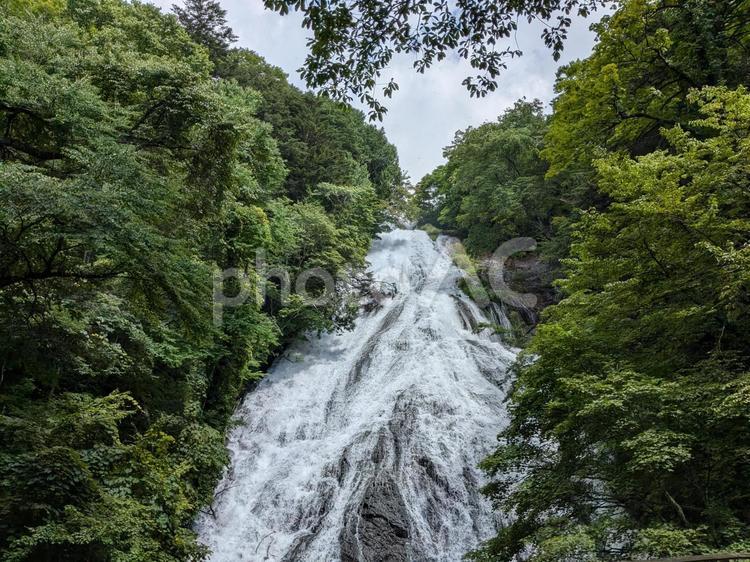 奥日光の自然、緑に包まれた湯滝の絶景 奥日光,湯滝,日光三名瀑の写真素材