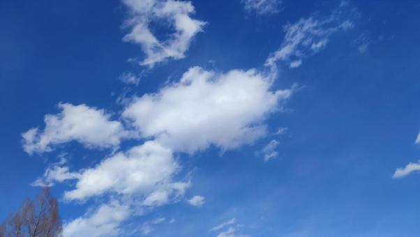 爽やかな空 爽やかな空の写真