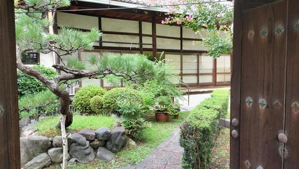 京都 寺 勝圓寺,京都,寺の写真素材