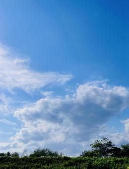 初夏の空は 初夏の空は 青空,空,雲の写真素材