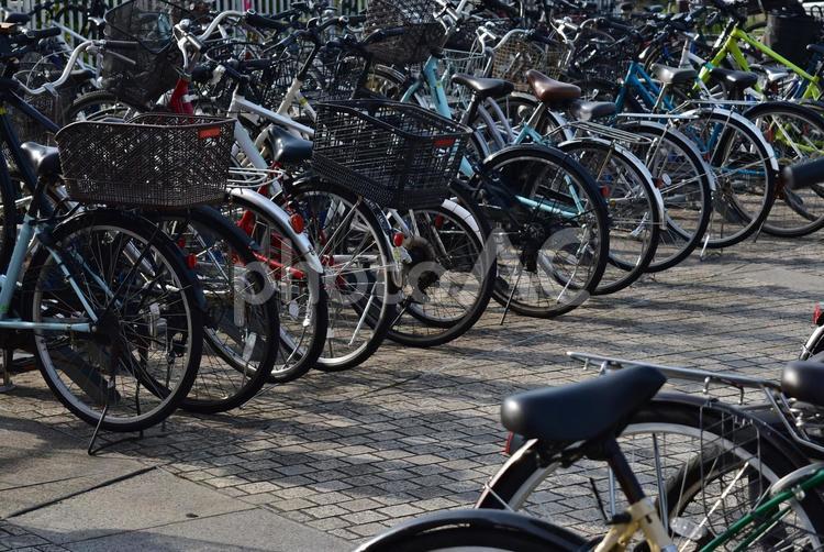 自転車置き場 自転車置き場,自転車置場,駐輪場の写真素材