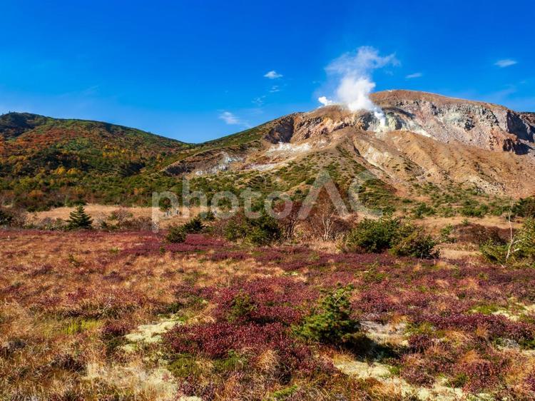 秋の一切経山 秋,紅葉,山の写真素材