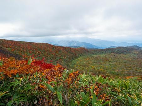 紅葉の秋田駒ケ岳 紅葉の秋田駒ケ岳 秋田駒ケ岳,紅葉,秋の写真素材