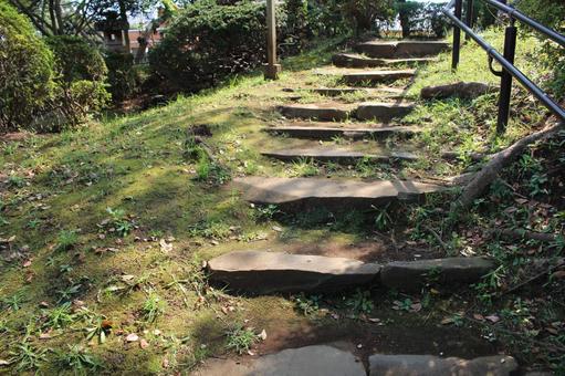 野毛山 動物園,公園,自然の写真素材