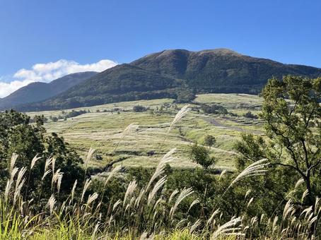 山とすすき 山,草,晴れの写真素材