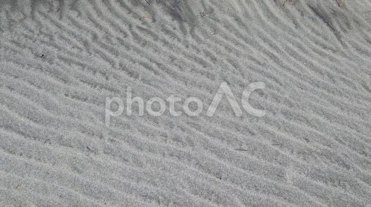 早春の中田島砂丘の風紋 中田島砂丘,風景,風紋の写真素材