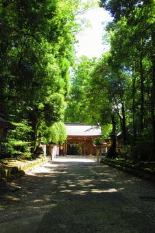 富山県-雄山神社-前立社壇-表神門 富山県-雄山神社-前立社壇-表神門の写真