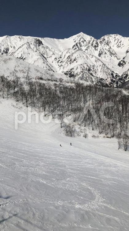 スキー場　ゲレンデ風景 スキー場,八方尾根,ゲレンデの写真素材