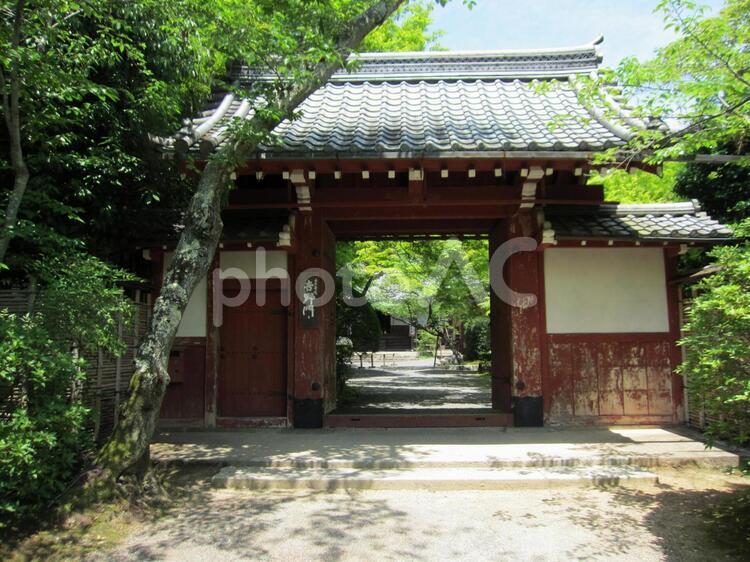 豪商に嫁いだ二代吉野太夫が寄進した常照寺山門（通称・赤門） 吉野太夫,寄進,豪商の写真素材