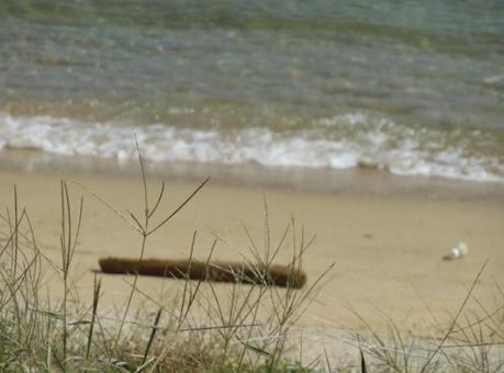 穏やかな時間 穏やかな時間の写真