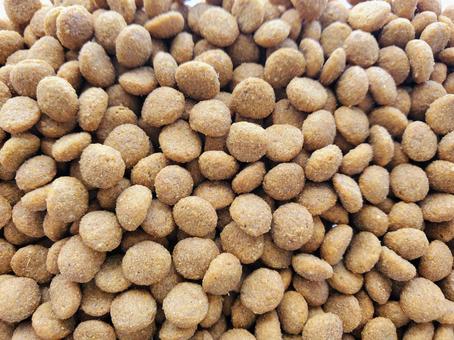 ペットフード　ペレット ペットフード,キャットフード,ドッグフードの写真素材