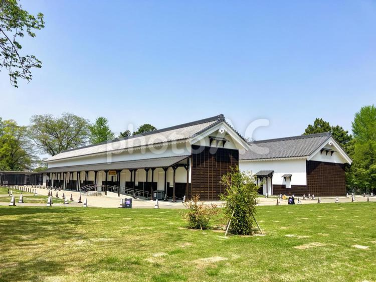 名古屋城　西の丸御蔵城宝館 名古屋城,名古屋,城の写真素材
