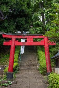 Photo, a shrine, tatekoshi shrine, shrines and temples, 