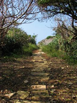 具志川城跡から 200707 01 具志川城跡から 200707 01の写真