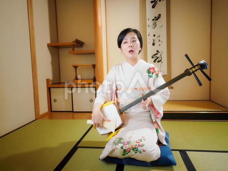 33：三味線を演奏する和服の女性 三味線,着物,伝統芸能の写真素材