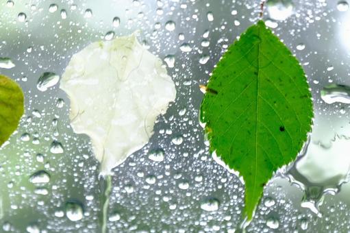 Raindrops, JPG