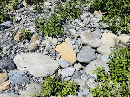 河原の石 河原の石の写真