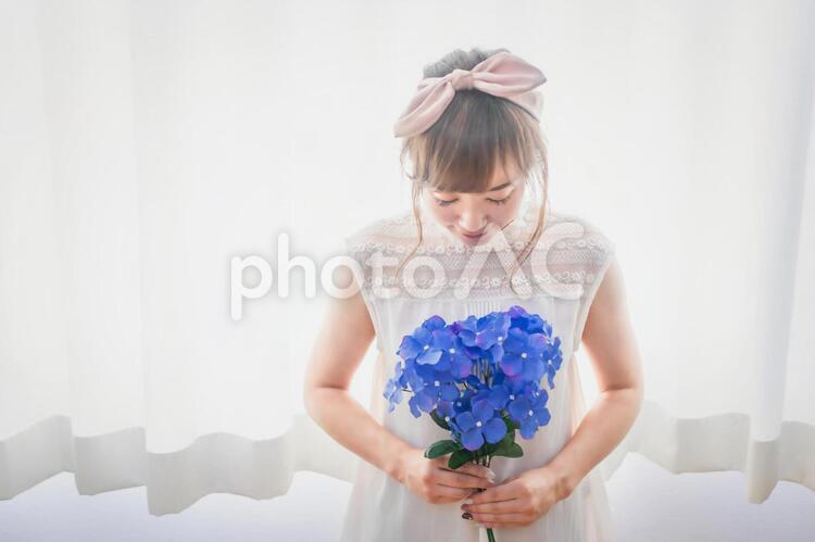 アジサイを持つ女性 アジサイ,あじさい,紫陽花の写真素材