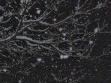 夜の雪のボケ背景-25 夜の雪のボケ背景-25の写真