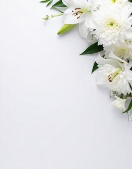 百合と菊の花 百合と菊の花の写真