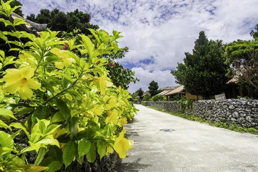 沖縄-【竹富島-竹富島の風景】 沖縄-【竹富島-竹富島の風景】 海,青,青空の写真素材
