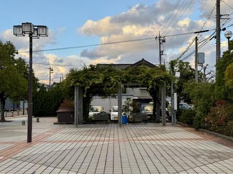 あわら湯のまち駅周辺の景色　福井県 あわら湯のまち駅,紅葉,もみじの写真素材