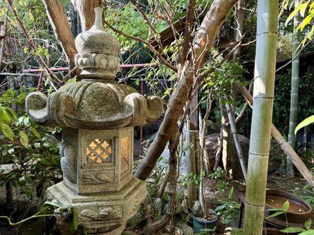 竹林に映える石灯籠の趣 竹林に映える石灯籠の趣 日本庭園,灯籠,竹の写真素材