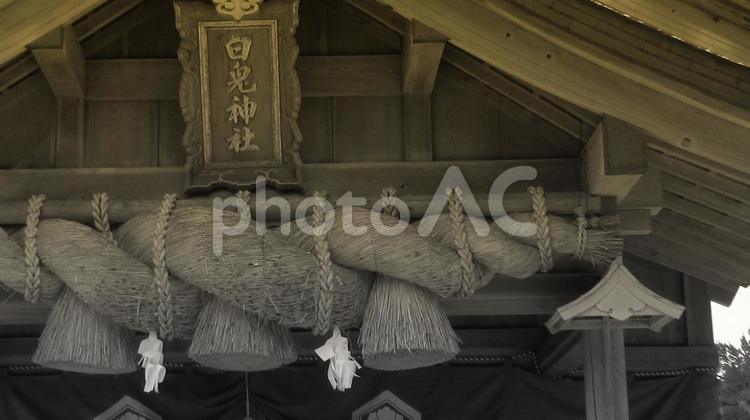 鳥取県-白兎神社-拝殿-近景 白兎神社,神社,拝殿の写真素材