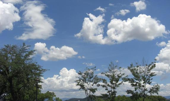 七月の雲-24 七月の雲-24 七月,青空,空の写真素材