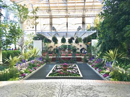 浜松フラワーパーク 浜松フラワーパーク,植物園,花の写真素材