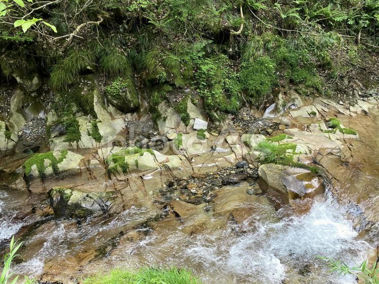 川底が見えるきれいな川 川,急流,水しぶきの写真素材