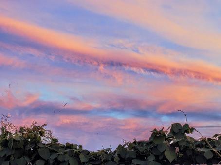 夕焼け雲 夕焼け雲の写真