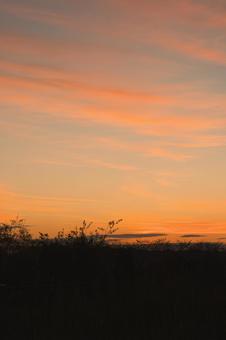 朝焼け マジックアワー,早朝,朝の写真素材