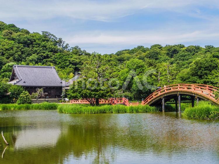 【神奈川県】横浜市・称名寺 称名寺,金沢文庫,神奈川県の写真素材
