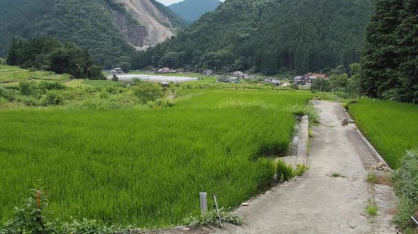 原風景！山間農村の初夏の田んぼ 田んぼ,田舎,原風景の写真素材