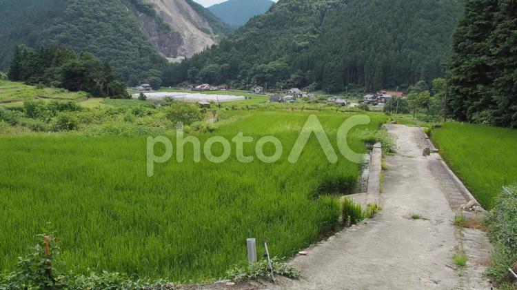 原風景！山間農村の初夏の田んぼ 田んぼ,田舎,原風景の写真素材