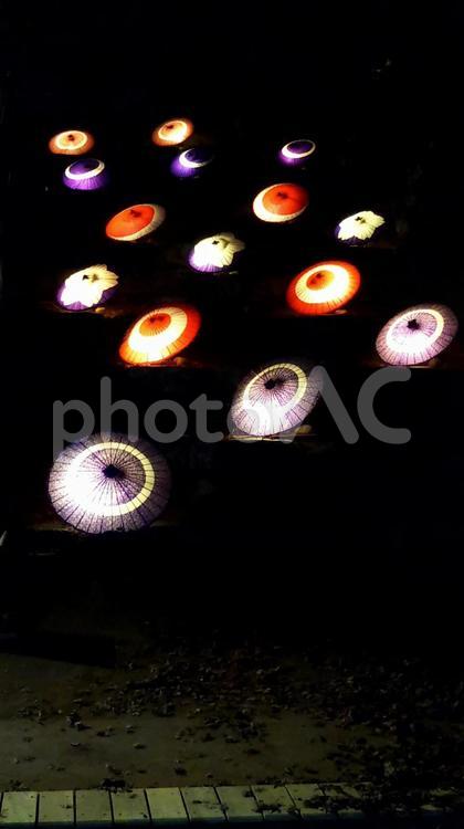 和傘のライトアップ 和風,和傘,夜景の写真素材