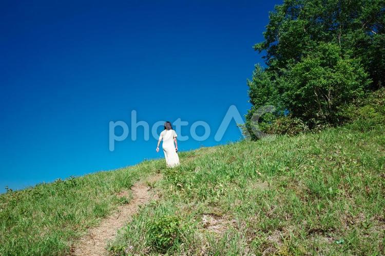 高原を散策するニットワンピースを着た女性 空,風景,自然の写真素材