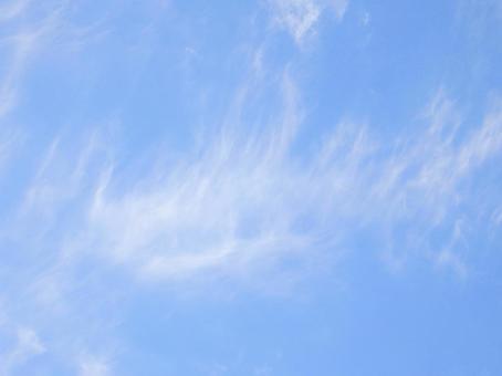 【空の写真】秋空 【空の写真】秋空 秋空,空,雲の写真素材