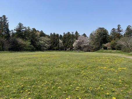 広場 広場 自然,広場,公園の写真素材